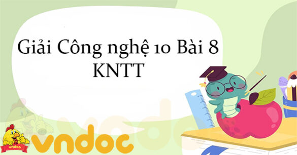 Giải Công nghệ 10 Bài 8: Sử dụng và bảo quản phân bón KNTT