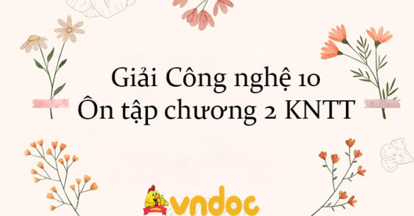 Giải Công nghệ 10 Ôn tập chương 2 KNTT