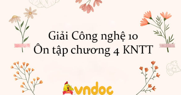 Giải Công nghệ 10 Ôn tập chương 4 KNTT