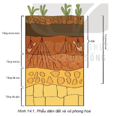 Giải Địa 10 Bài 14