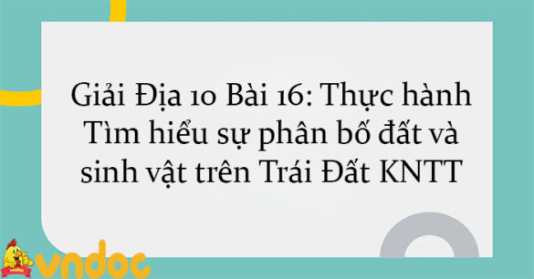 Giải Địa 10 Bài 16: Thực hành: Tìm hiểu sự phân bố đất và sinh vật trên Trái Đất KNTT