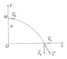 Giải Lý 10 Bài 12