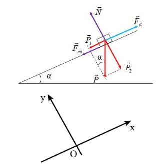 Giải Lý 10 Bài 24