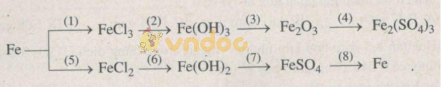 Giải Sách bài tập Hóa học 9 bài 19: Sắt