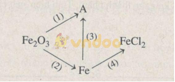 Giải Sách bài tập Hóa học 9 bài 19: Sắt