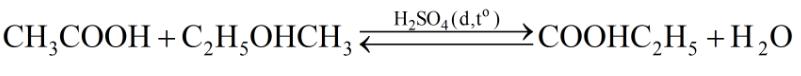 Giải Sách bài tập Hóa học 9 bài 45: Axit axetic