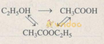 Giải Sách bài tập Hóa học 9 bài 48: Luyện tập: Rượu etylic, axit axetic và chất béo