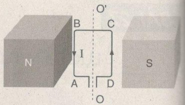 Giải bài tập SBT Vật lý lớp 9 bài 27: Lực điện từ