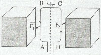 Giải bài tập SBT Vật lý lớp 9 bài 27: Lực điện từ