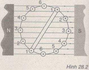 Giải bài tập SBT Vật lý lớp 9 bài 28: Động cơ điện một chiều