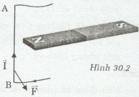 Giải bài tập SBT Vật lý lớp 9 bài 30: Bài tập vận dụng quy tắc nắm tay phải và quy tắc bàn tay trái
