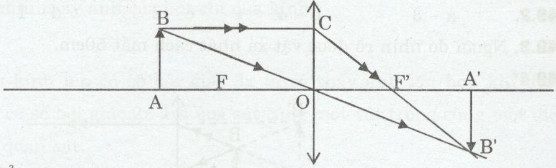 Giải bài tập SBT Vật lý lớp 9 bài 48: Mắt