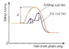 Lý thuyết Hóa học 10 bài 19 KNTT