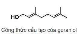 Hóa 11 Kết nối tri thức bài 22