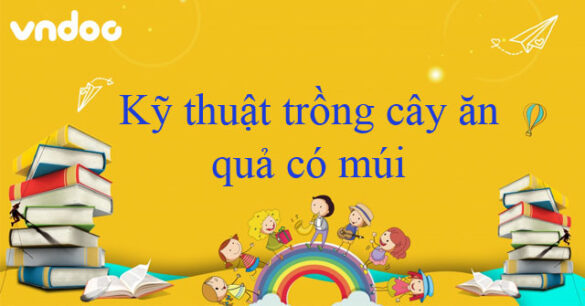 Kỹ thuật trồng cây ăn quả có múi (cam, chanh, quýt, bưởi, ...)