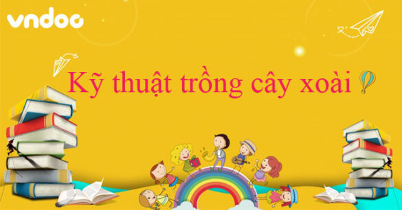 Kỹ thuật trồng cây xoài