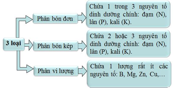 Lý thuyết Hóa học lớp 9 bài 11: Phân bón hóa học