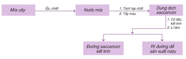 Lý thuyết Hóa học lớp 9 bài 51: Saccarozơ