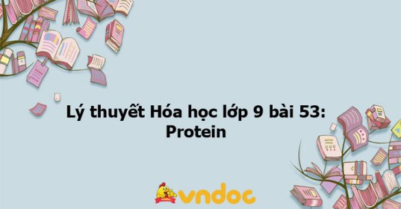 Lý thuyết Hóa học lớp 9 bài 53: Protein