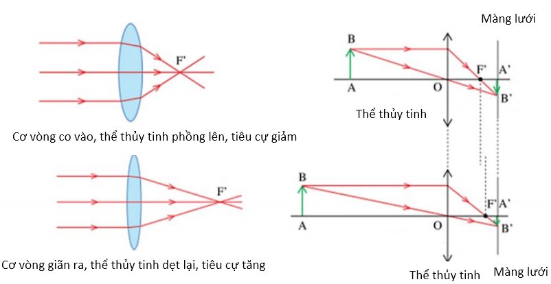 chuyên đề vật lý 9