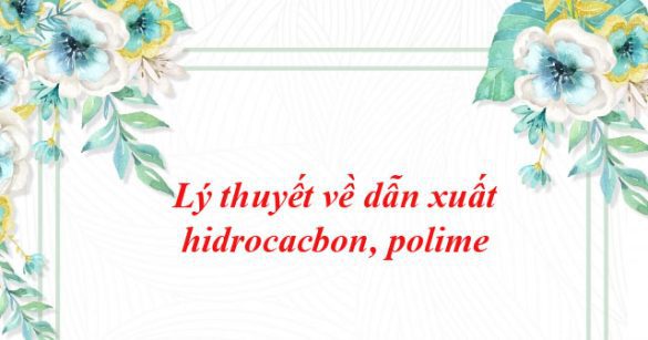 Lý thuyết về dẫn xuất hidrocacbon, polime