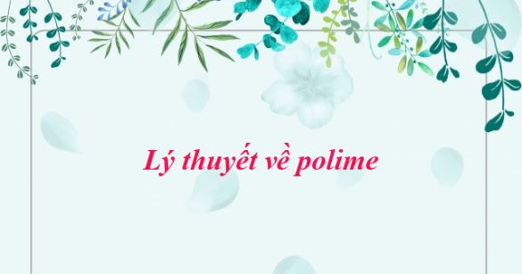 Lý thuyết về polime