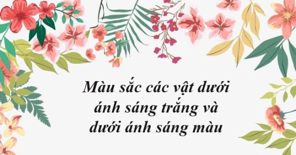 Màu sắc các vật dưới ánh sáng trắng và dưới ánh sáng màu