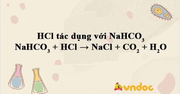 NaHCO3 + HCl → NaCl + CO2 + H2O