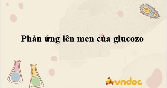 Phản ứng lên men của glucozo