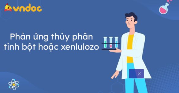 Phản ứng thủy phân tinh bột hoặc xenlulozo