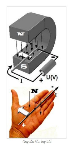 Quy tắc nắm bàn tay phải, quy tắc nắm bàn tay trái