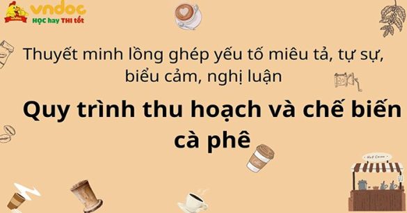 Thuyết minh về quy trình thu hoạch và chế biến cà phê