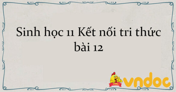 Sinh học 11 Kết nối tri thức bài 12