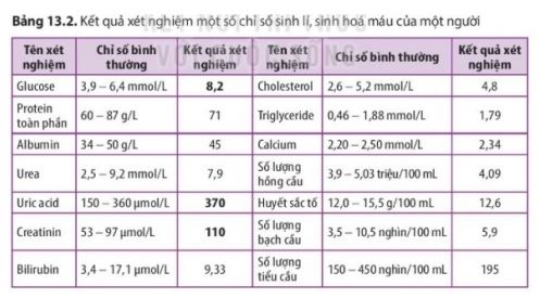 Sinh 11 Kết nối tri thức bài 13