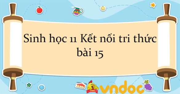 Sinh học 11 Kết nối tri thức bài 15