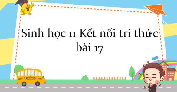 Sinh học 11 Kết nối tri thức bài 17