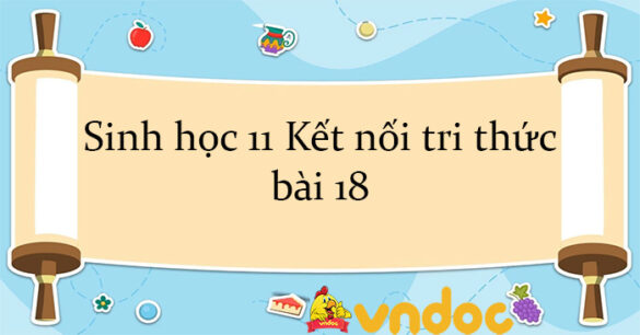 Sinh học 11 Kết nối tri thức bài 18