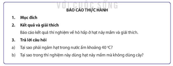 Sinh 11 Kết nối tri thức bài 7