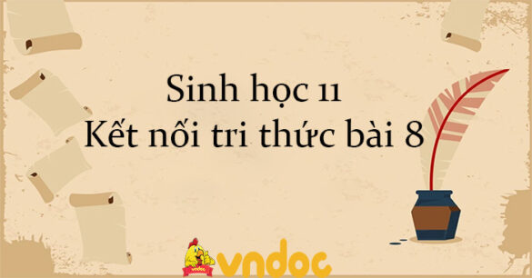 Sinh học 11 Kết nối tri thức bài 8