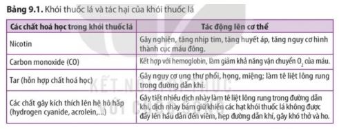 Sinh 11 Kết nối tri thức bài 9