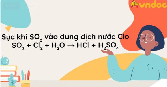 SO2 + Cl2 + H2O → HCl + H2SO4