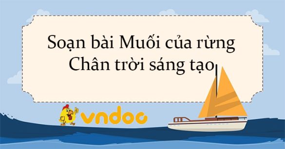 Soạn bài Muối của rừng Chân trời sáng tạo