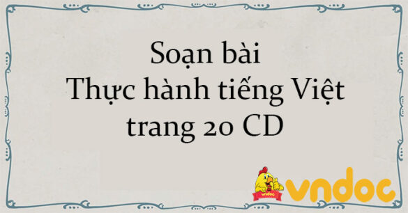 Soạn bài Thực hành tiếng Việt trang 20 CD