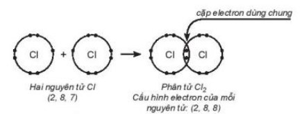 Lý thuyết Hóa học 10 bài 12 KNTT