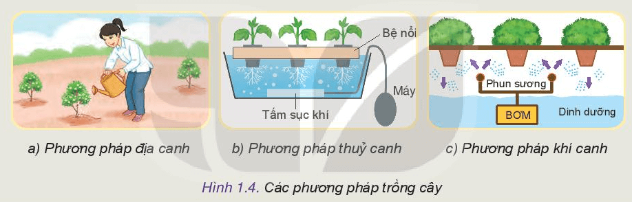 thiết kế công nghệ 10