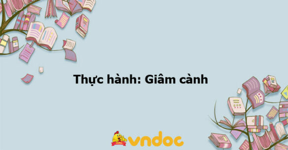 Thực hành: Giâm cành