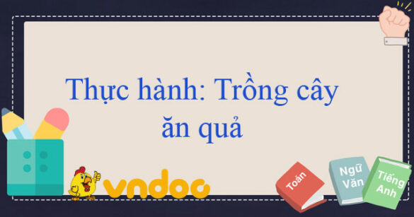 Thực hành: Trồng cây ăn quả