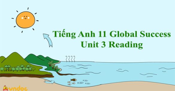 Tiếng Anh 11 Global Success Unit 3 Reading