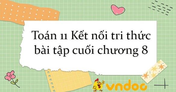 Toán 11 Kết nối tri thức bài tập cuối chương 8