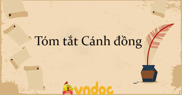 Tóm tắt Cánh đồng